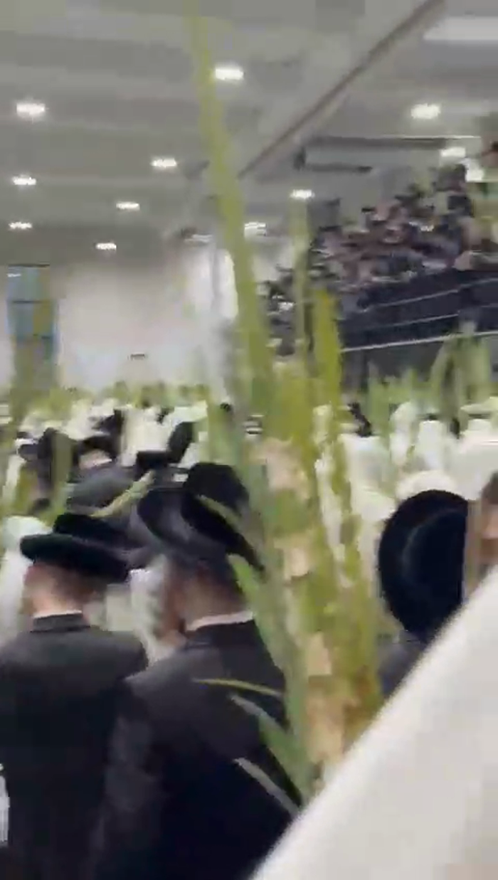 יום הושענא רבה

אמירת הלל, עבודת הנענועים, ודרשת ה