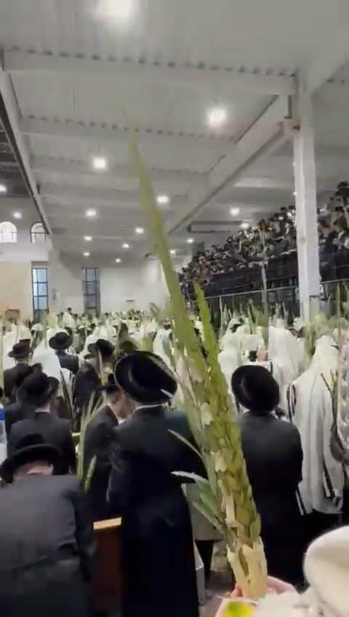 יום הושענא רבה

אמירת הלל, עבודת הנענועים, ודרשת ה