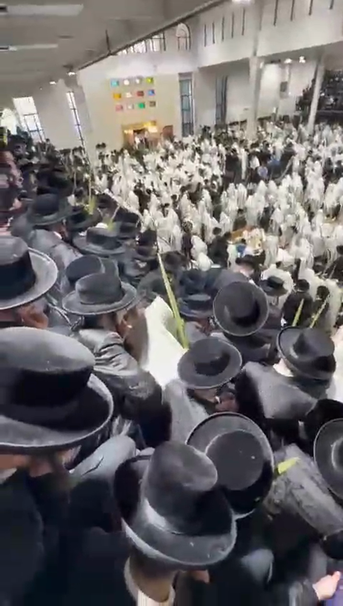 יום הושענא רבה

אמירת הלל, עבודת הנענועים, ודרשת ה