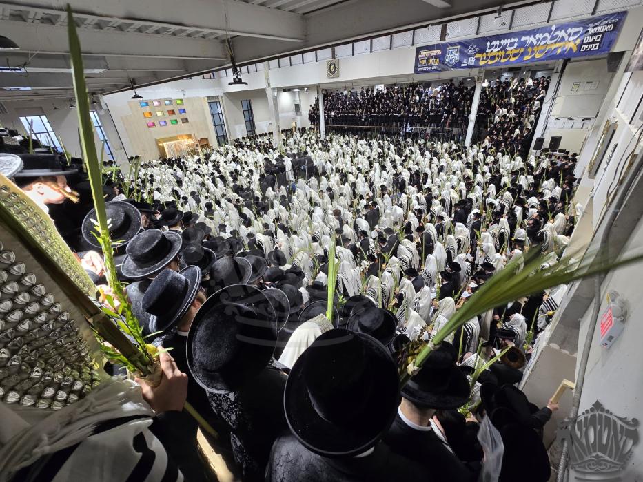 יום הושענא רבה

אמירת הלל, עבודת הנענועים, ודרשת ה