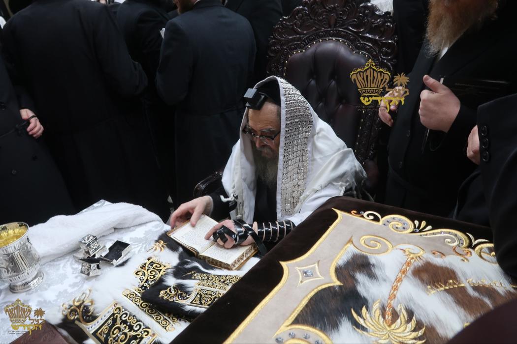 🌴בצל הקודש 🌴
רבינו שליט"א ביי תפילת שחרית אינאיינע