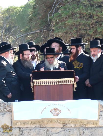 🌴בצל הקודש🌴
רבינו שליט"א ביי הר הצופים מול מקום המ