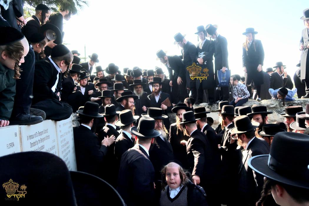 🌴בצל הקודש🌴
רבינו שליט"א ביי הר הצופים מול מקום המ