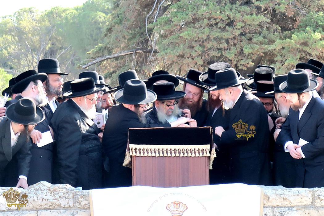 🌴בצל הקודש🌴
רבינו שליט"א ביי הר הצופים מול מקום המ