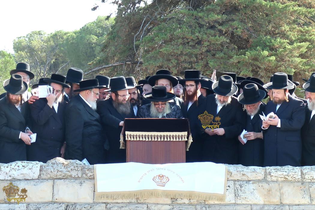 🌴בצל הקודש🌴
רבינו שליט"א ביי הר הצופים מול מקום המ