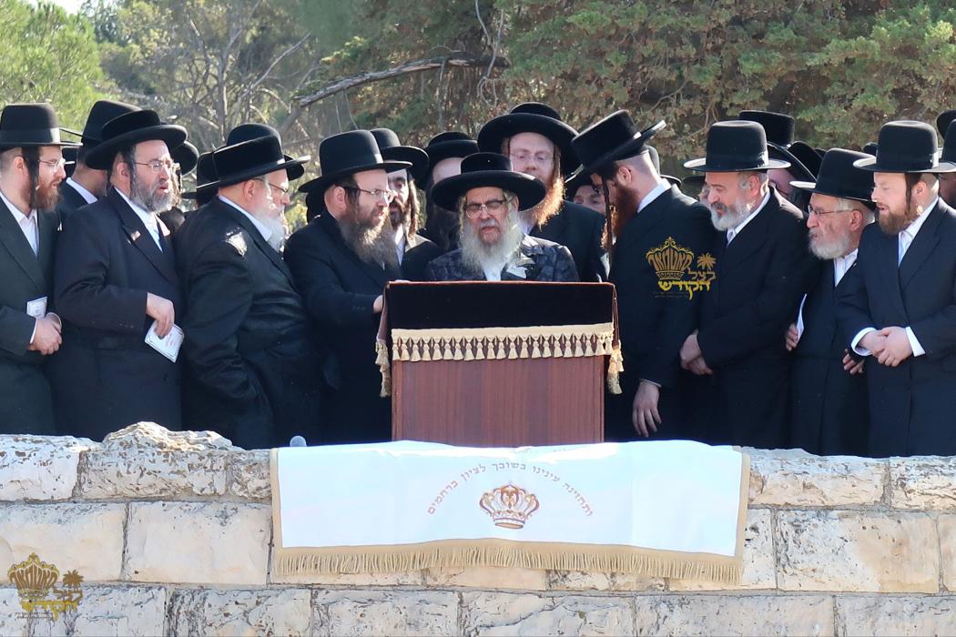 🌴בצל הקודש🌴
רבינו שליט"א ביי הר הצופים מול מקום המ