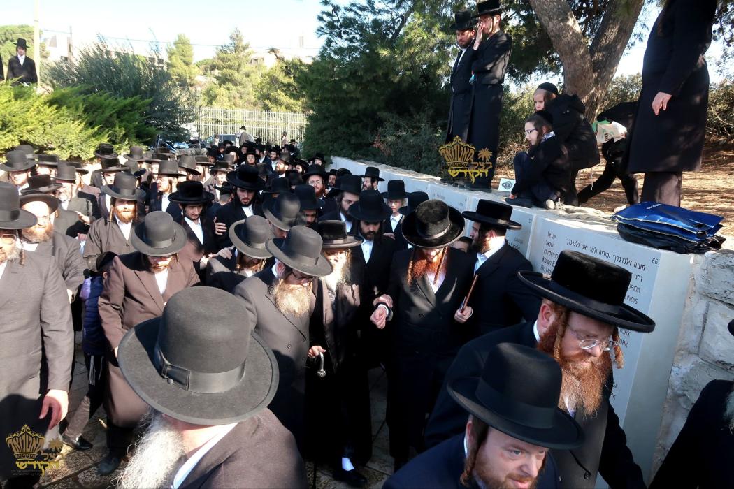 🌴בצל הקודש🌴
רבינו שליט"א ביי הר הצופים מול מקום המ