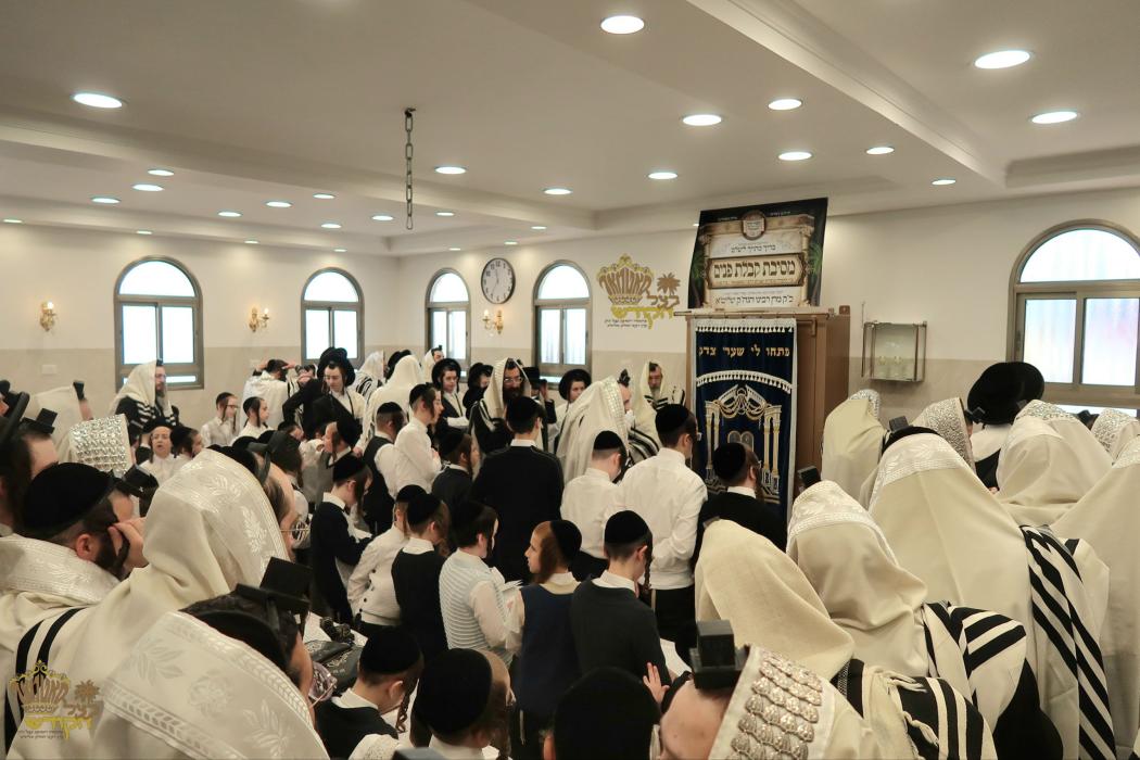 🌴בצל הקודש 🌴
רבינו שליט"א ביי תפילת שחרית אינאיינע