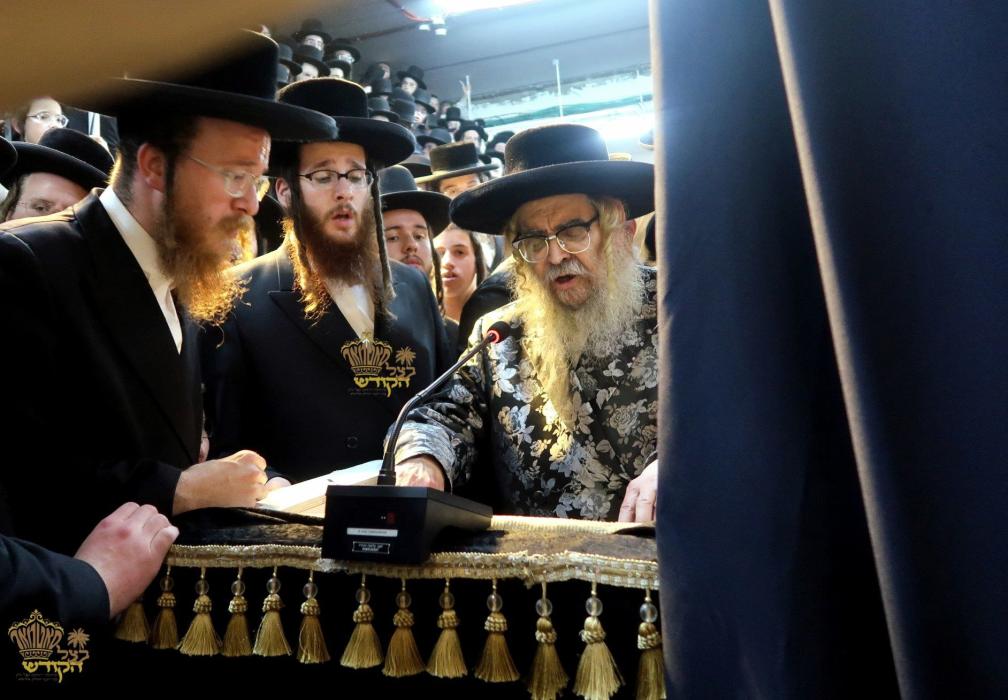 🌴בצל הקודש🌴
רבינו שליט"א ביים הכנסת ספר תורה דורך 