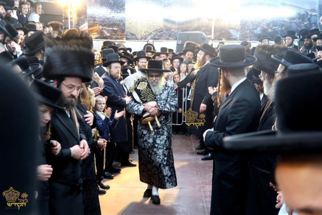 🌴בצל הקודש🌴
רבינו שליט"א ביים הכנסת ספר תורה דורך 