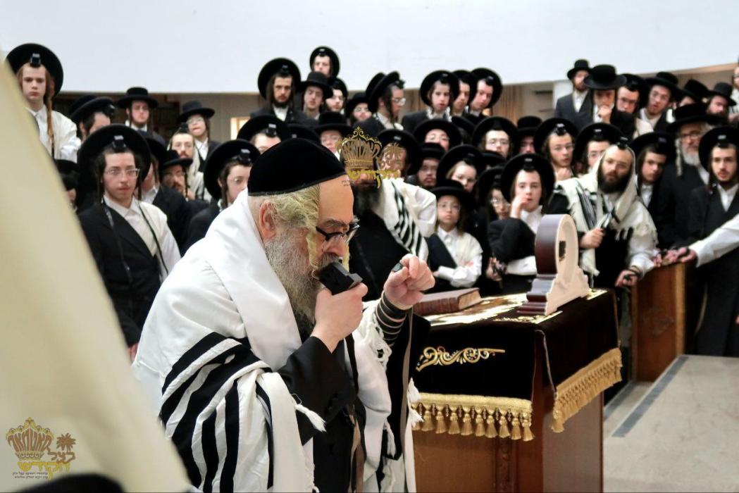 🌴בצל הקודש 🌴
רבינו שליט"א ביי תפילת שחרית אינאיינע