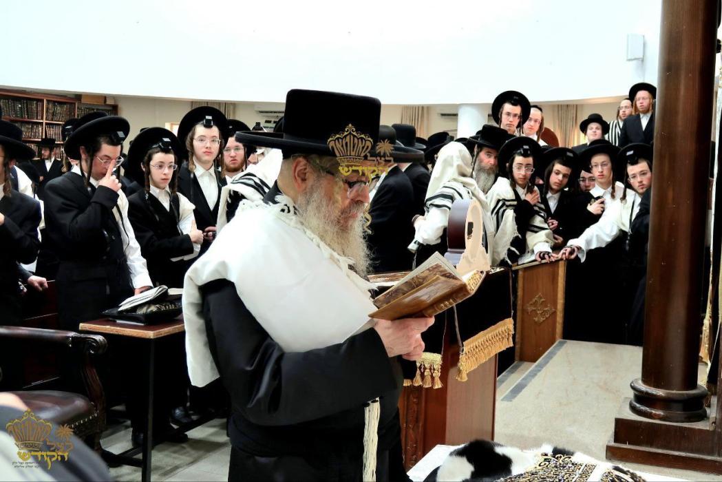 🌴בצל הקודש 🌴
רבינו שליט"א ביי תפילת שחרית אינאיינע