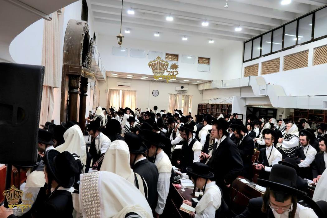 🌴בצל הקודש 🌴
רבינו שליט"א ביי תפילת שחרית אינאיינע