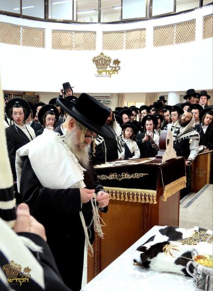 🌴בצל הקודש 🌴
רבינו שליט"א ביי תפילת שחרית אינאיינע