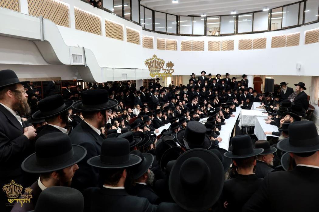 🌴בצל הקודש 🌴
רבינו שליט"א ביים מסיבת לחיים נאך תפי