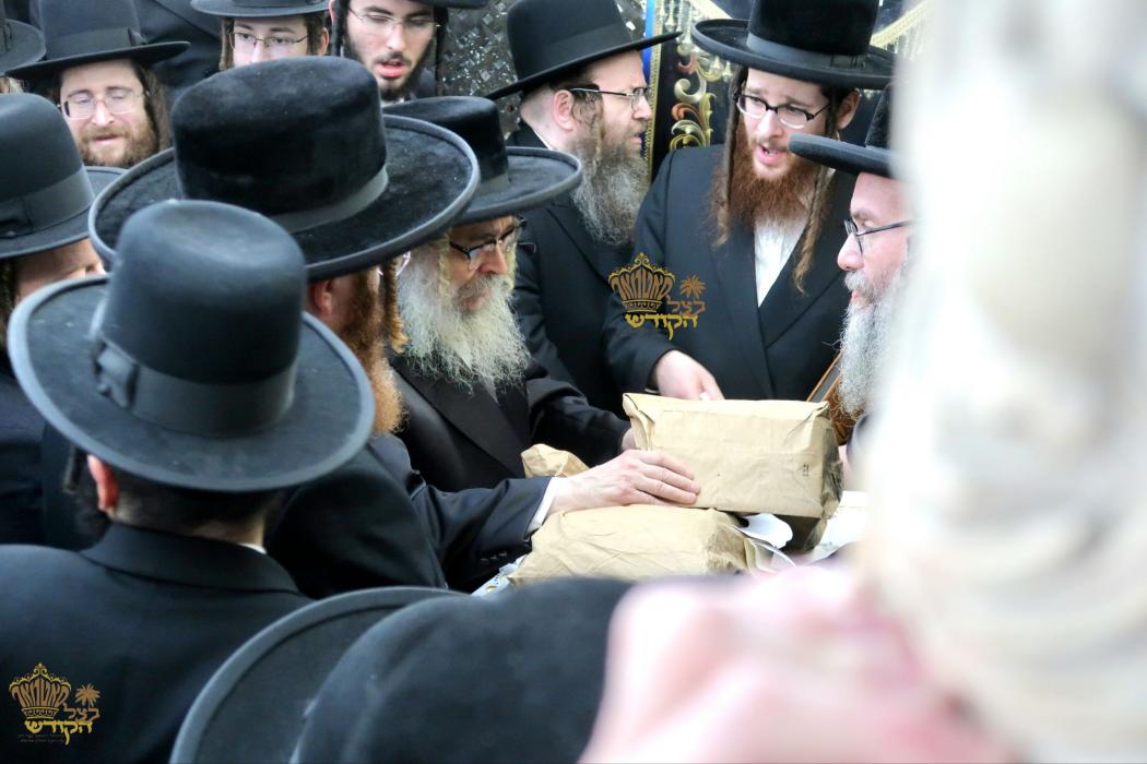 🌴בצל הקודש🌴
רבינו שליט"א ביי אמירת כל ספר תהילים א