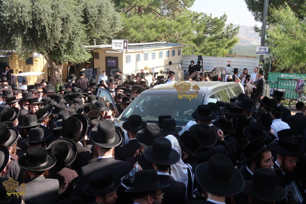 🌴בצל הקודש🌴
רבינו שליט"א ביי תפילת שחרית ואמירת הל