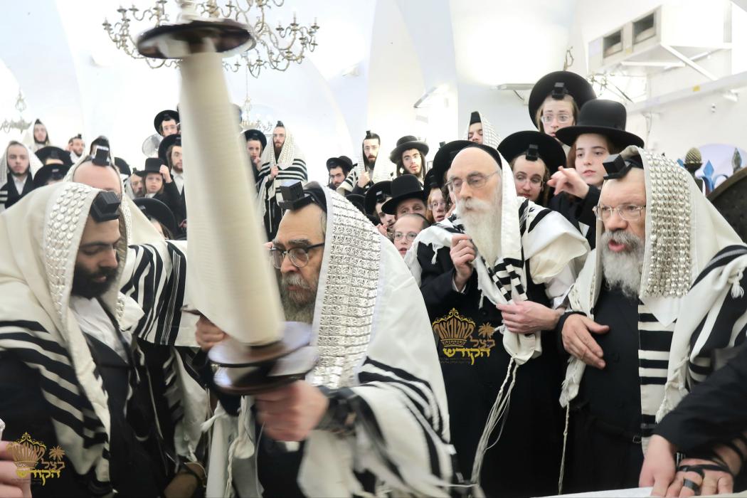 🌴בצל הקודש🌴
רבינו שליט"א ביי תפילת שחרית ואמירת הל