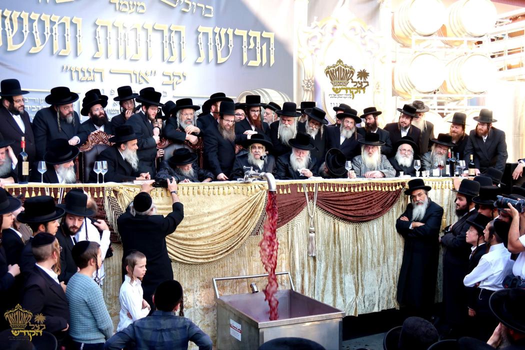 🌴בצל הקודש🌴 
רבינו שליט''א ביים מעמד הפרשת תרומות 