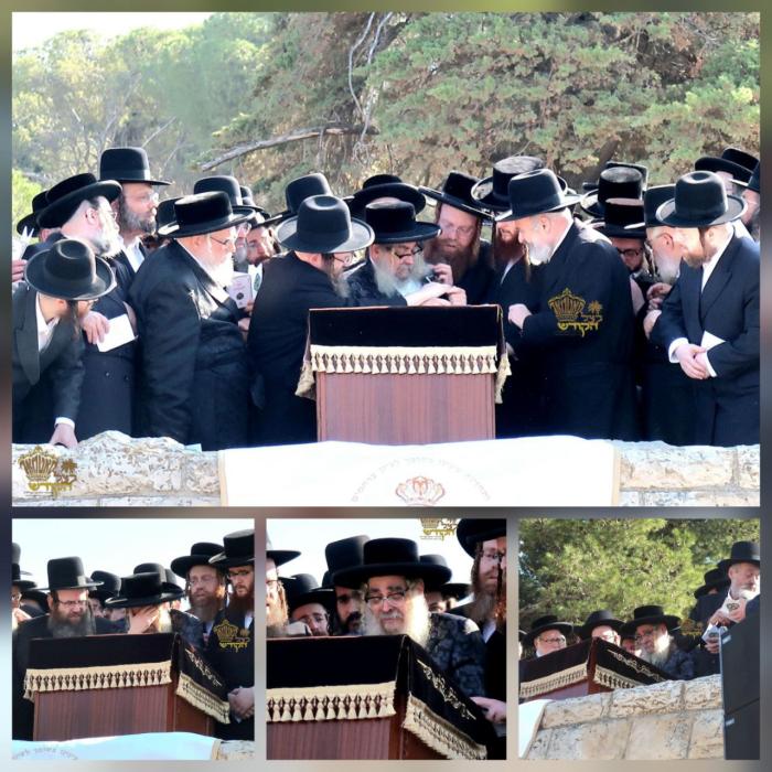 כ"ק אדמו"ר מסאטמאר שליט"א באזוכט הר הצופים, פון וו