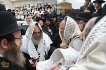 🌴בצל הקודש 🌴
רבינו שליט"א ביי תפילת שחרית אינאיינע