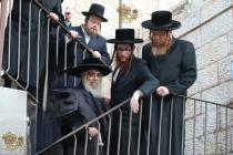 🌴בצל הקודש🌴
רבינו שליט"א ביים משמיע זיין א שיעור ס