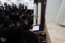 🌴בצל הקודש🌴
רבינו שליט"א ביי תפילת מנחה נאכן משמיע