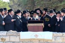 🌴בצל הקודש🌴
רבינו שליט"א ביי הר הצופים מול מקום המ