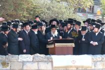 🌴בצל הקודש🌴
רבינו שליט"א ביי הר הצופים מול מקום המ