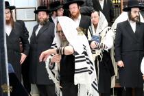 🌴בצל הקודש 🌴
רבינו שליט"א ביי תפילת שחרית אינאיינע