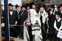 🌴בצל הקודש 🌴
רבינו שליט"א ביי תפילת שחרית אינאיינע