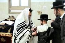 🌴בצל הקודש 🌴
רבינו שליט"א ביי תפילת שחרית אינאיינע