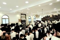 🌴בצל הקודש 🌴
רבינו שליט"א ביי תפילת שחרית אינאיינע