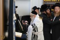 🌴בצל הקודש 🌴
רבינו שליט"א ביי תפילת שחרית אינאיינע