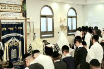 🌴בצל הקודש 🌴
רבינו שליט"א ביי תפילת שחרית אינאיינע