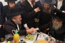 🌴בצל הקודש 🌴
רבינו שליט"א אין שטוב פון הרבני הנגיד