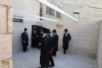 🌴בצל הקודש 🌴
רבינו שליט"א ביים זיך אומקוקן אויף די