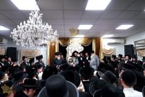 🌴בצל הקודש🌴
רבינו שליט"א ביים מעמד סיום כתיבת ספר 