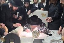 🌴בצל הקודש 🌴
רבינו שליט''א ביי כתיבת האותיות פאר ד