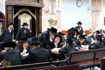 🌴בצל הקודש 🌴
רבינו שליט"א ביים זיך אומקוקן אויף די