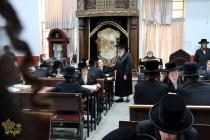 🌴בצל הקודש 🌴
רבינו שליט"א ביים זיך אומקוקן אויף די