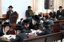 🌴בצל הקודש 🌴
רבינו שליט"א ביים זיך אומקוקן אויף די