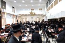 🌴בצל הקודש 🌴
רבינו שליט"א ביים זיך אומקוקן אויף די