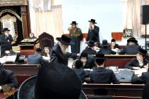 🌴בצל הקודש 🌴
רבינו שליט"א ביים זיך אומקוקן אויף די