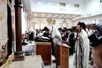 🌴בצל הקודש 🌴
רבינו שליט"א ביי תפילת שחרית אינאיינע