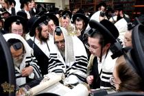 🌴בצל הקודש 🌴
רבינו שליט"א ביי תפילת שחרית אינאיינע