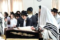 🌴בצל הקודש 🌴
רבינו שליט"א ביי תפילת שחרית אינאיינע