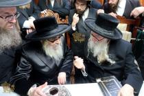 🌴בצל הקודש 🌴
רבינו שליט"א אויף א באזוך ביי כ"ק אדמ