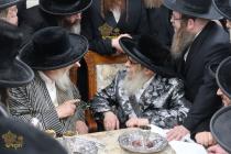 🌴בצל הקודש 🌴
רבינו שליט"א אויף א באזוך ביי כ"ק אדמ