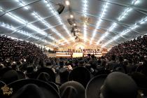 🌴בצל הקודש🌴
רבינו שליט"א ביים ערשיינען צום היסטארי